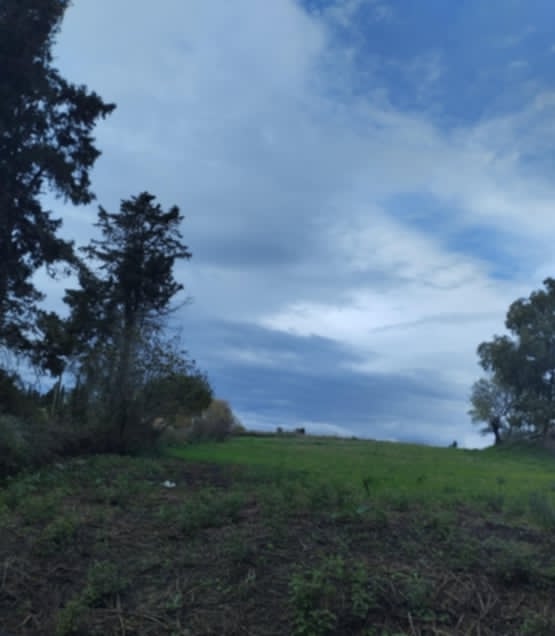 Γεωτεμάχιο με προοπτική post thumbnail image