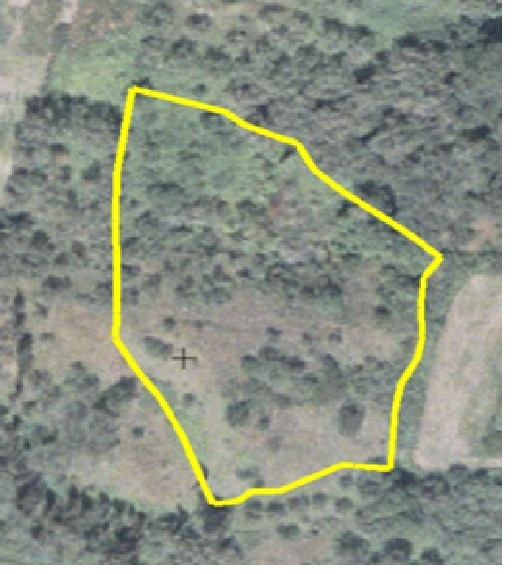 Αγροτεμάχιο σε ωραίο ήσυχο, πράσινο σημείο post thumbnail image